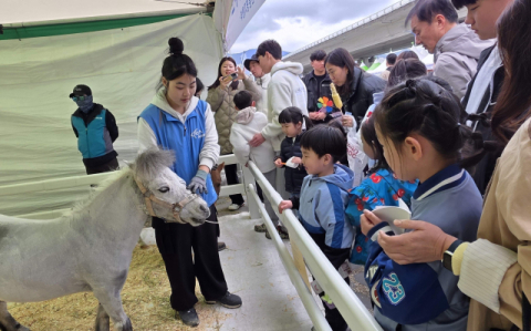 강서 낙동강 30리 벚꽃축제의 렛츠런파크 홍보관에서 어린이들이 미니호스를 보고 있다.