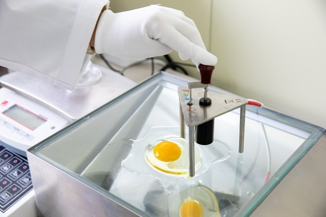 농식품부 산하 공공기관인 축산물품질평가원이 계란 등급판정 업무를 할 업체를 모집한다. 사진은 계란 신선도 검사를 하는 모습. 축평원 제공