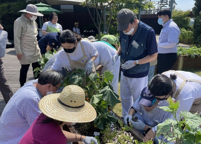 의료기관에서 진행하고 있는 치유농업 프로그램. 농촌진흥청 제공