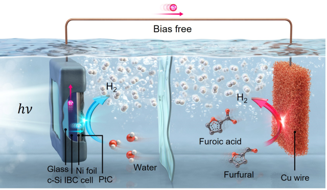 그림. 태양광만을 이용한 고효율 이중 수소 생산 시스템의 모식도. 기존 물 분해(산소 발생 반응) 방식 대신 푸르푸랄 산화 반응을 적용해 필요한 전압을 획기적으로 낮춘 광전기화학 시스템의 작동 원리를 나타낸다. 태양광을 받은 결정질 실리콘(c-Si) 광전극에서 생성된 전자가 물을 환원시키며 수소를 생성하고, 산화전극(Cu 촉매전극)에서는 낮은 전압에서 푸르푸랄 산화 반응을 일으켜 또 다른 수소와 고부가가치 화합물인 푸로산(Furoic acid)을 동시에 생산한다. 본 시스템을 통해 추가 전력 공급 없이 순수한 태양에너지로만 높은 효율의 수소 생산을 달성할 수 있다. UNIST 제공