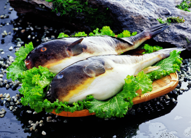 이 사진은 기사와 직접적인 관련이 없습니다. 이미지투데이 제공