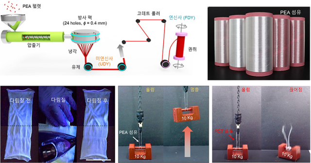 친환경 의류용 및 산업용 적용을 위한 용융방사 섬유의 다림질 특성 및 물성 평가. 화학연구원 제공