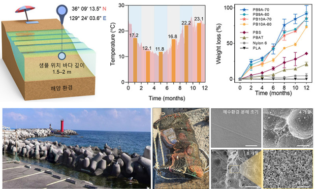 실제 해양 분해 시험 환경 및 분해 테스트 결과. 화학연구원 제공