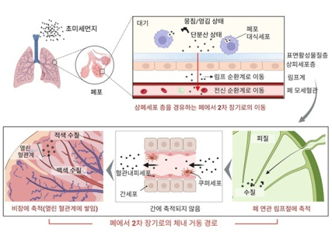 핵심 연구 결과
