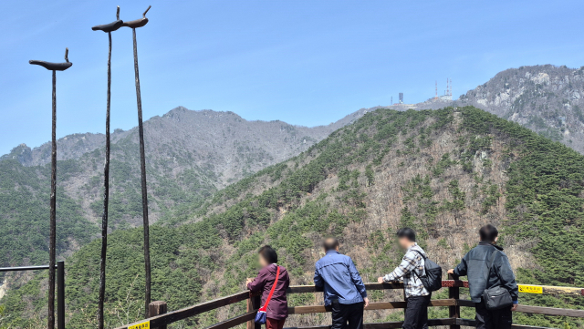 관광객들이 대구 팔공산 전망대에서 시원한 경치를 만끽하고 있다. 남태우 기자