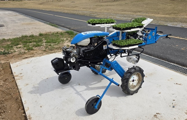 배추를 심는 정식 기계. 농촌진흥청 제공