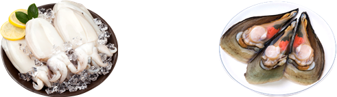 5월 이달의 수산물로 선정된 갑오징어(왼쪽)와 키조개. 해수부 제공
