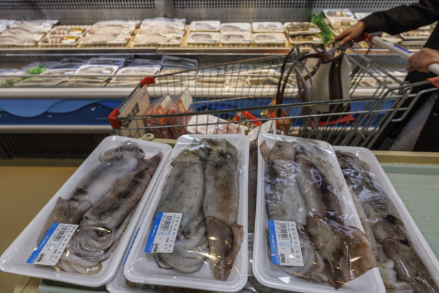 서울 서초구 농협 하나로마트 양재점의 수산물 코너에 놓인 생물 오징어. 연합뉴스