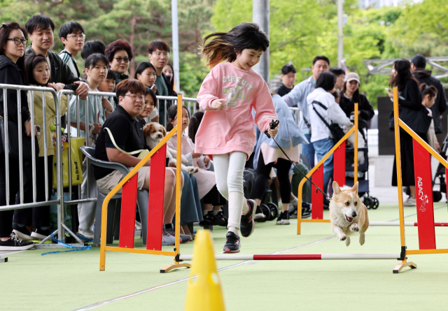 행사장에서 한 어린이가 반려견과 함께하는 운동회에 참여하고 있다. 정종회 기자 jjh@