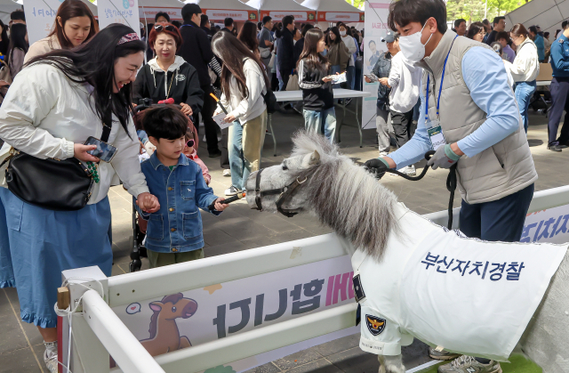 행사장을 찾은 어린이가 부산시자치경창위원회&한국마사회 부스에서 경찰옷을 입은 조랑말에게 먹이를 주고 있다. 김종진 기자 kjj1761@