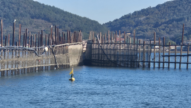 오는 12일, FAO 실사단이 지족해협을 찾아 세계중요농업유산 등재를 위한 현장 실사를 진행한다. 김현우 기자