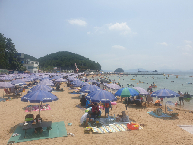 지난해 경남 창원시 마산합포구 진동면 광암해수욕장을 찾은 시민들이 피서를 즐기고 있다. 창원시 제공