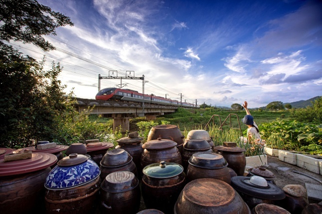 7일 한국철도공사(코레일)에 따르면 ‘지역사랑 여행상품’은 다양한 형태의 상품이 있어 MZ세대 감성부터 황혼기 낭만을 즐길 수 있는 여행상품으로 자리매김하고 있다. 코레일 제공