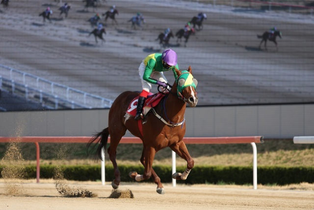 지난 4월 6일 KRA컵 마일에서 우승한 오아시스블루. 당시 우승장면이다. 한국마사회 제공