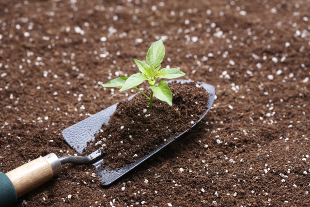 해당 사진은 기사와 직접적인 연관 없음. 이미지투데이