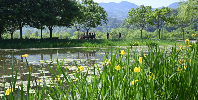 13일 경남 거창군 남상면 거창창포원에 봄꽃들이 만개해 방문객들이 꽃구경을 하고 있다. 경남도 제1호 지방정원인 거창창포원은 오는 15일부터 18일까지 ‘거창에 On 봄축제’가 나흘간 개최된다. 아리미아꽃축제, 산양삼축제, 열린음악회, 전국 드론축구대회 등이 펼쳐진다. 거창군 제공