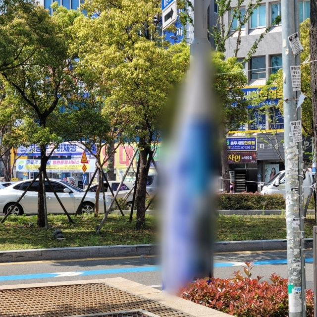 부산 서구의 한 도로에서 대통령 선거 후보 현수막을 훼손한 혐의로 50대 남성이 경찰에 붙잡혔다. 부산 서부경찰서 제공