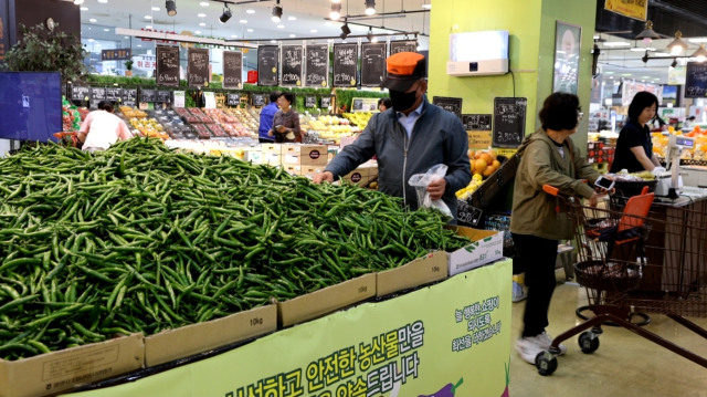 경남농협과 경남도, 진주시, 밀양시가 15일부터 오는 28일까지 경남 청양고추 소비 확대를 위한 특별할인전을 진행한다. 행사 첫날인 이날엔 창원시 남창원농협 농수산물종합유통센터에서 개장식이 열렸다. 지난달 10kg당 3만 1200원에 판매되던 청양고추는 전년대비 47% 하락했다. 이는 영남·호남에서 재배면적이 증가해 작황 호조에 따라 공급량이 크게 늘면서다. 경남농협 제공