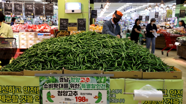 경남농협과 경남도, 진주시, 밀양시가 15일부터 오는 28일까지 경남 청양고추 소비 확대를 위한 특별할인전을 진행한다. 행사 첫날인 이날엔 창원시 남창원농협 농수산물종합유통센터에서 개장식이 열렸다. 지난달 10kg당 3만 1200원에 판매되던 청양고추는 전년대비 47% 하락했다. 이는 영남·호남에서 재배면적이 증가해 작황 호조에 따라 공급량이 크게 늘면서다. 경남농협 제공
