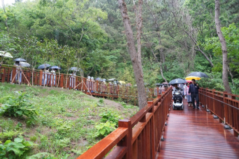 오은택 부산 남구청장(맨앞)은 일반인 공개에 앞서 '이기대 보행약자 배려길'을 지난 15일 보행권 지킴이단 등과 함께 직접 점검했다.