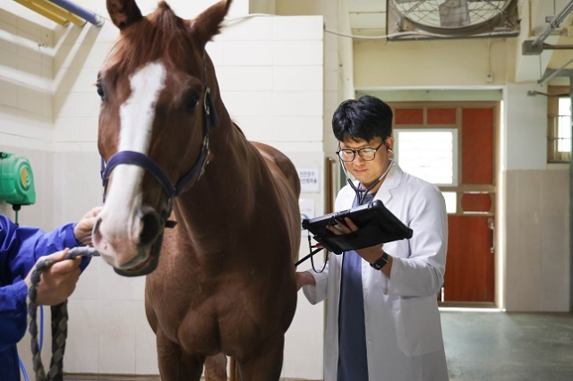 한국마사회, 민간기업과 말 알러지 진단키트 개발...유발물질 60종 진단 - 뉴스 썸네일 이미지