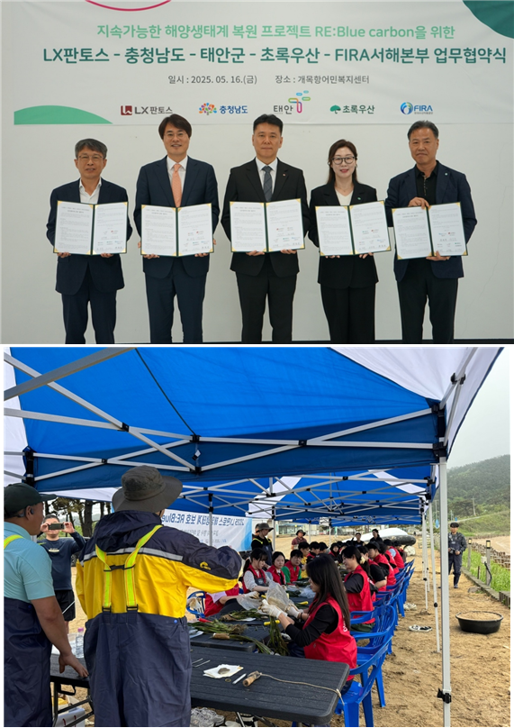 한국수산자원공단 서해본부는 지난 16일 바다숲 복원사업의 일환으로 LX판토스, 충청남도, 태안군, 초록우산과 어업인이 함께하는 ‘바다숲 가꾸기’ 잘피 이식 사업을 충남 태안군 의항리 해역에서 진행했다. 수산자원공단 제공