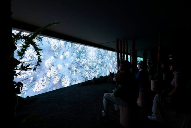 시민들이 두나무가 조성한 디지털 치유정원의 ‘고요한 숲’을 감상하고 있다. 두나무 제공