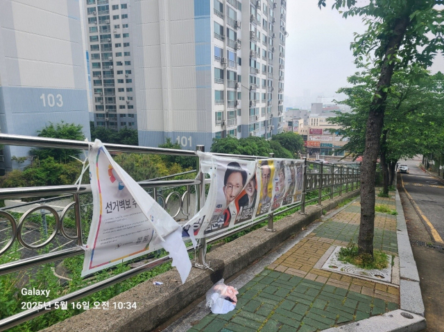 지난 16일 부산 사상구의 한 선거 벽보가 훼손된 모습. 부산일보DB