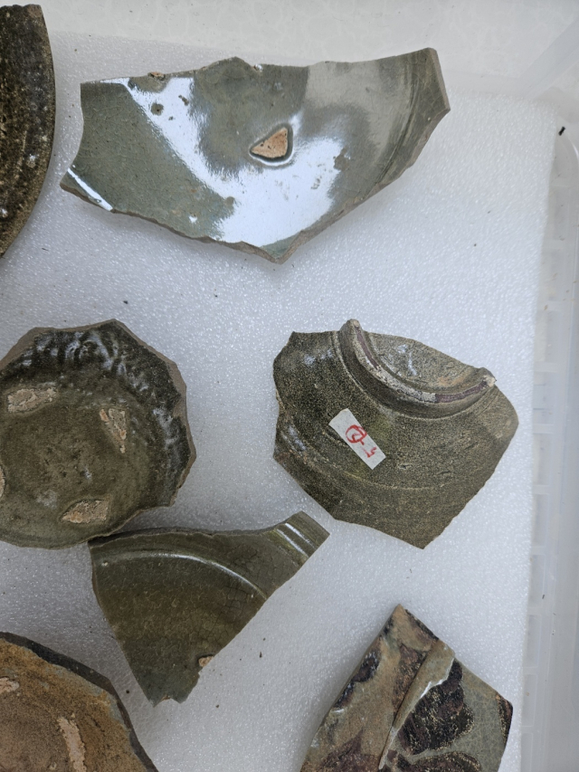 부산 동래구 온천동 요지에서 발굴된 고려청자 조각들. 김효정 기자