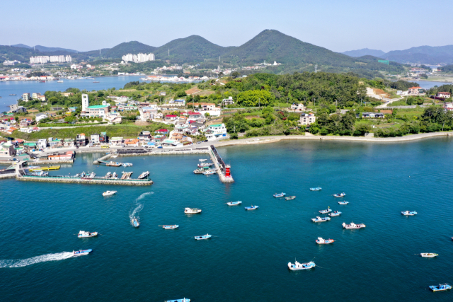 통영과 거제 사이 해역인 견내량에서 돌미역 채취가 시작됐다. 견내량 돌미역은 조선 시대 초대 삼도수군통제사를 지낸 이순신 장군이 조정에 올리던 진상품 중 하나로 품질이 뛰어나 ‘왕의 미역’이란 애칭이 붙었다. 김민진 기자