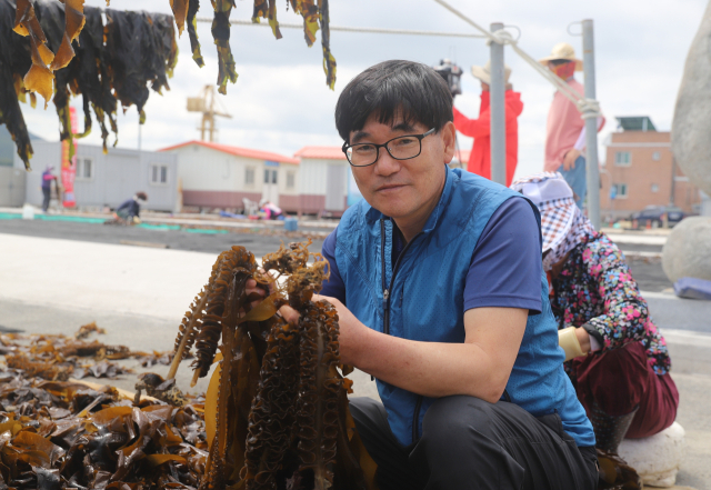 통영과 거제 사이 해역인 견내량에서 돌미역 채취가 시작됐다. 견내량 돌미역은 조선 시대 초대 삼도수군통제사를 지낸 이순신 장군이 조정에 올리던 진상품 중 하나로 품질이 뛰어나 ‘왕의 미역’이란 애칭이 붙었다. 연기마을 장동주 어촌계장이 미역을 들어 보이고 있다. 김민진 기자