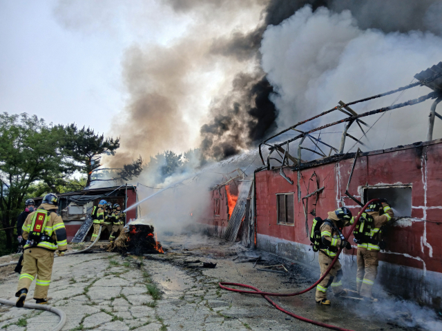 부산 사하구 산에 있는 동물농장에 불이 났다. 부산소방재난본부 제공
