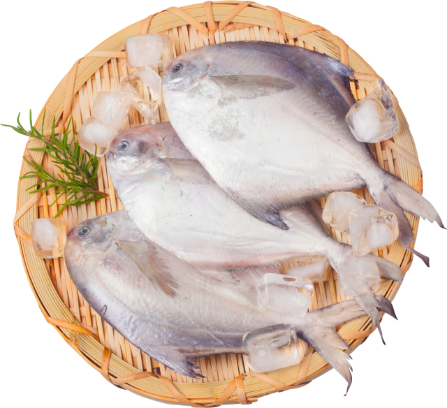 6월 이달의 수산물로 선정된 병어. 해수부 제공