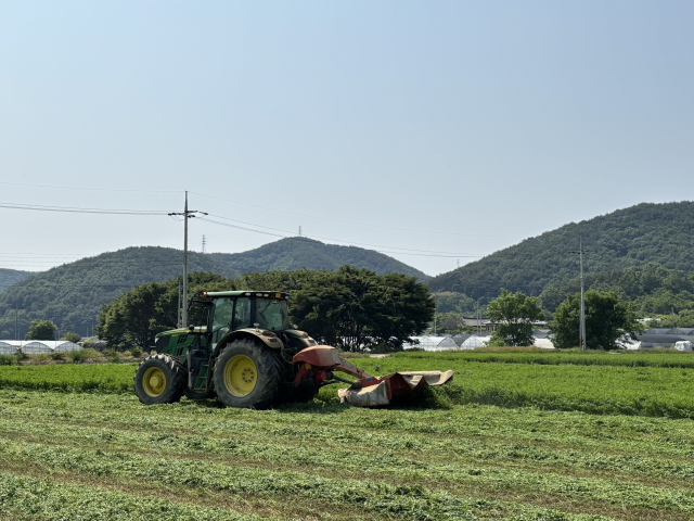 경남 고성군 마암면 시범 재배 농가가 알팔파를 수확하고 있다. 경남도농업기술원 제공