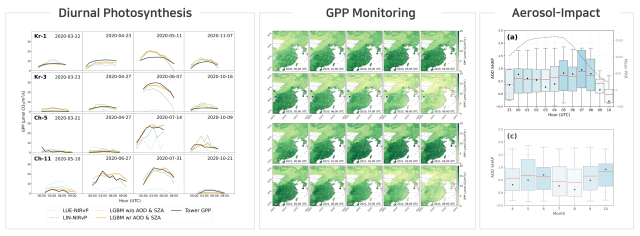 그림. AI 기반 일간 광합성 모니터링과 미세먼지의 영향 분석 (좌측) AI 모델의 예측 결과와 실제 관측값을 비교한 그래프. 하루 동안의 시간대별 광합성량(GPP) 변화를 4개 관측지점에서 확인할 수 있으며, AI 모델이 시간대별 특성을 정밀하게 재현하고 있음을 보여준다. (중앙) AI를 기반으로 생성된 시간 단위 GPP 추정 지도. 동아시아 전역에서 하루 24시간 동안 식물이 흡수하는 이산화탄소의 양을 시간 순서대로 시각화한 것. (우측) 에어로졸(AOD)이 시간대별로 광합성에 미치는 영향을 정량 분석한 결과. 상단 그래프(a)는 AOD의 상대적 영향력이 아침과 저녁에 가장 높게 나타나는 것을 보여주며, 하단 그래프(c)는 계절별로 AOD가 광합성에 미치는 영향의 변동성을 나타낸다. UNIST 제공
