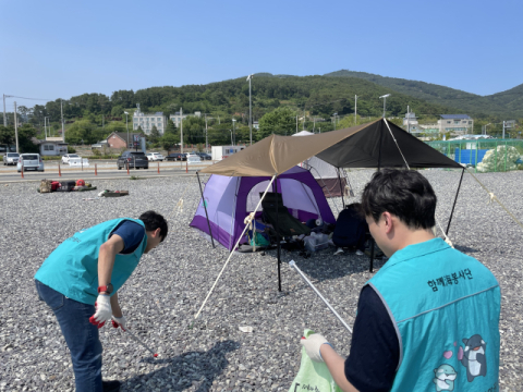 환경정화활동 현장 사진