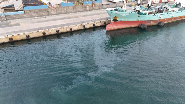 지난달 31일 바누아투 선적의 원양어선이 연료유를 이송하던 중 해상에 기름을 유출시켜 해양경찰에 적발됐다. 부산해양경찰서 제공