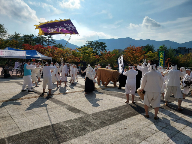 수영농청놀이 공연장면. 부산시 무형문화재연합회 제공.