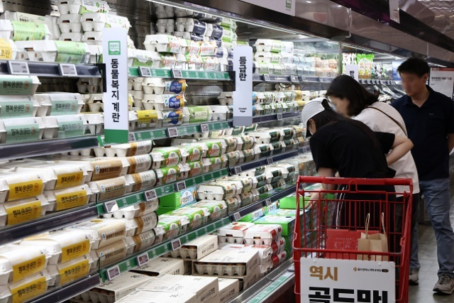 5월 소비자 물가상승률이 1.9%로 비교적 낮은 상승률을 보였지만 가공식품과 같은 먹거리 물가는 여전히 높아 사람들의 체감물가를 더 높게 만들었다. 사진은 서울의 한 대형마트 계란 코너. 연합뉴스