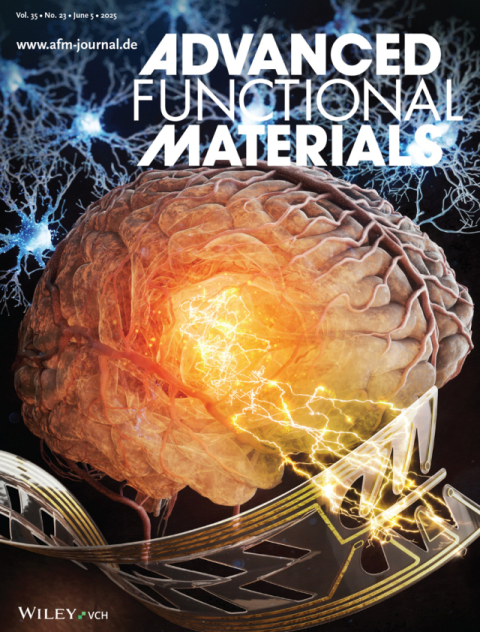 'Advanced Functional Materials' 저널 표지 이미지