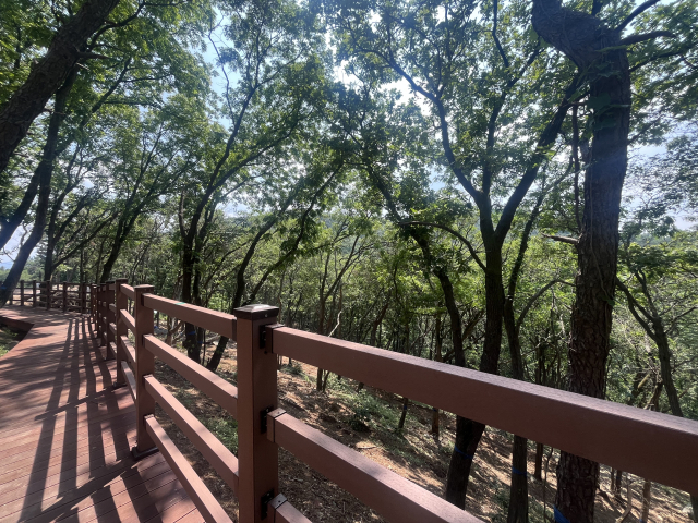 김해시는 내년 3월 운영을 목표로 주촌면 김해추모의공원 인근에 수목장과 잔디장, 산분장이 가능한 자연장지를 조성 중이다. 전체 시설은 나무 덱을 따라 연결된다. 이경민 기자