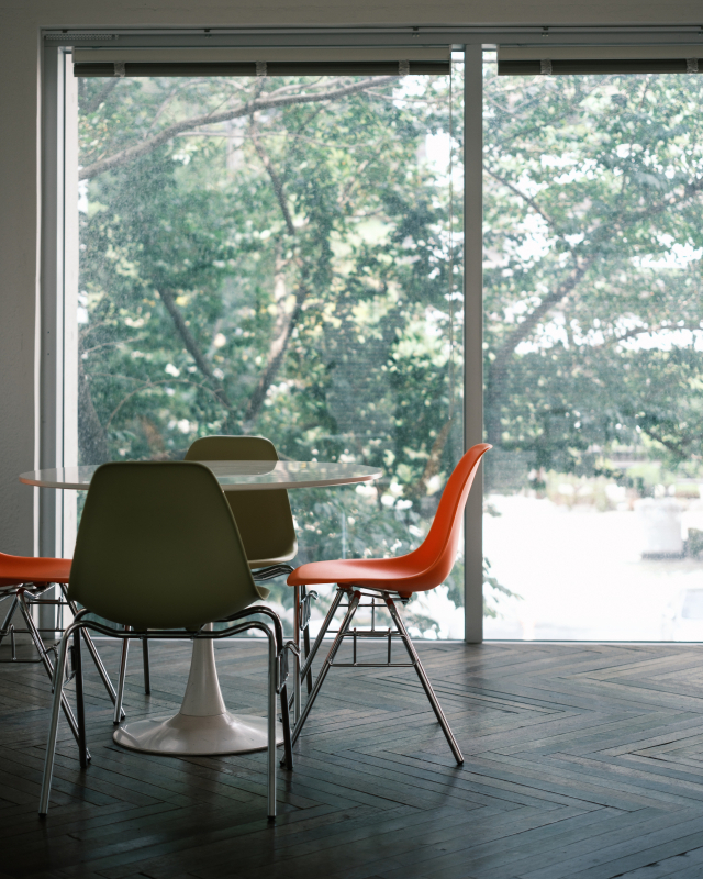 본관 2층 카페 통창으로 아름드리 큰 나무가 펼쳐져 전원카페 분위기도 낸다. 정대현 기자 jhuyn@