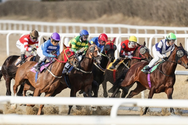한국마사회가 정부 정책에 맞춰 마사회 업무 전반에 인공지능(AI) 기술을 도입한다. 사진은 경마 경주 장면. 한국마사회 제공
