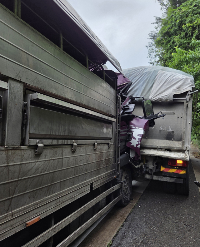 22일 오전 8시 15분께 경남 함안군 남해고속도로 칠원분기점 인근에서 50대 A 씨가 몰던 4.5t 화물차가 앞서가던 덤프트럭을 추돌했다. 독자 제공