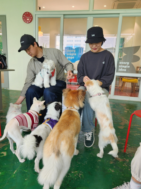 반려인들 가운데는 임보를 하다 입양으로 넘어가는 경우도 있다.