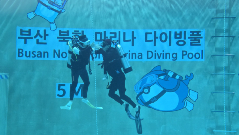 전문강사의 도움을 받아 입수중인 참가자