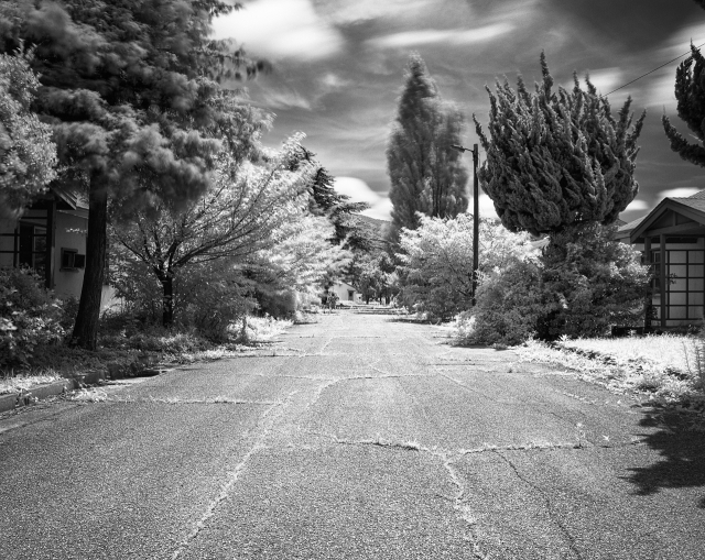 특별전1 중에서 노형주, 낯선 빛으로 본 하야리아, 2010-2011. 사진나무숲 제공