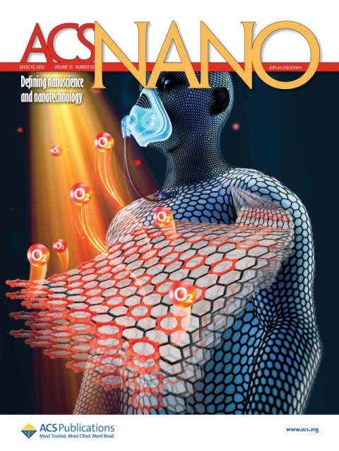 ACS Nano 2025년 6월 24일 표지논문 이미지