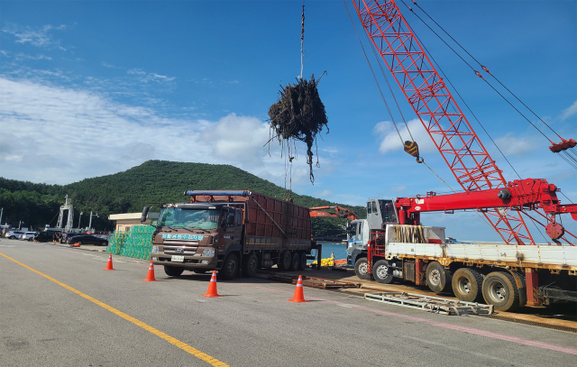 수거된 어장 내 폐기물을 처리하는 모습. 어촌어항공단 제공