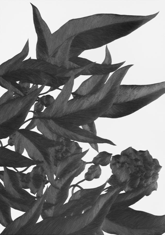 김은주, 그려보다, 2025. 부산문화재단 제공